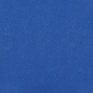 Kongablátt vestatoy